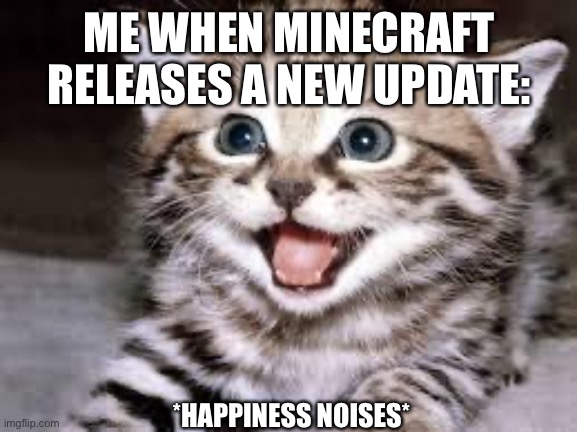 Yayyyy | ME WHEN MINECRAFT RELEASES A NEW UPDATE:; *HAPPINESS NOISES* | image tagged in happy cat | made w/ Imgflip meme maker