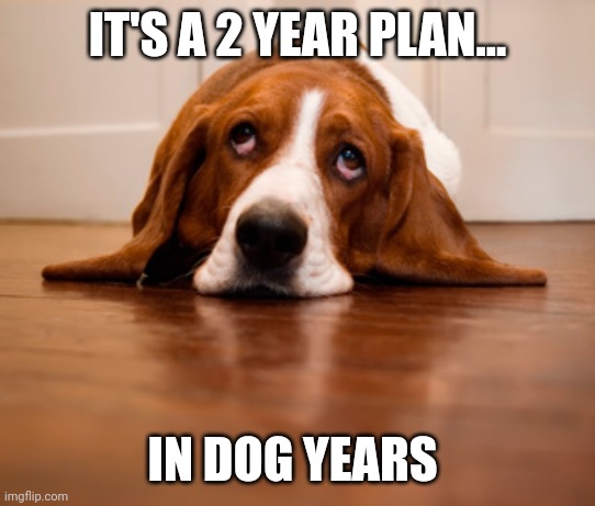 Sad Dog Bassett Hound | IT'S A 2 YEAR PLAN... IN DOG YEARS | image tagged in sad dog bassett hound | made w/ Imgflip meme maker