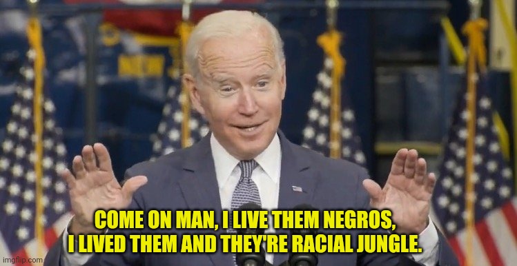 COME ON MAN, I LIVE THEM NEGROS, I LIVED THEM AND THEY'RE RACIAL JUNGLE. | made w/ Imgflip meme maker