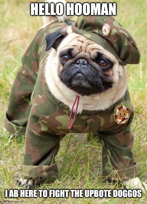 We must defeat them | HELLO HOOMAN; I AB HERE TO FIGHT THE UPBOTE DOGGOS | image tagged in army dog | made w/ Imgflip meme maker