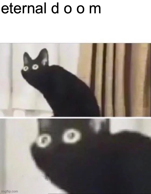 Oh No Black Cat | eternal d o o m | image tagged in oh no black cat | made w/ Imgflip meme maker