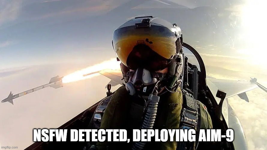 whoooosh | NSFW DETECTED, DEPLOYING AIM-9 | image tagged in fighter pilot missile | made w/ Imgflip meme maker
