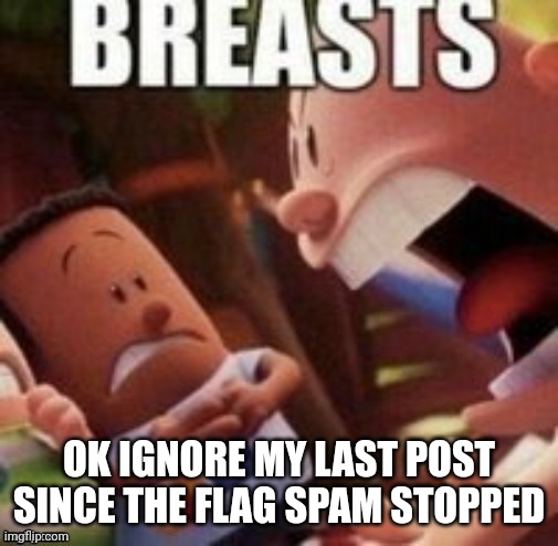 Breasts | OK IGNORE MY LAST POST SINCE THE FLAG SPAM STOPPED | image tagged in breasts | made w/ Imgflip meme maker