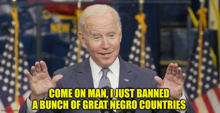 Cocky joe biden | COME ON MAN, I JUST BANNED A BUNCH OF GREAT NEGRO COUNTRIES | image tagged in cocky joe biden | made w/ Imgflip meme maker