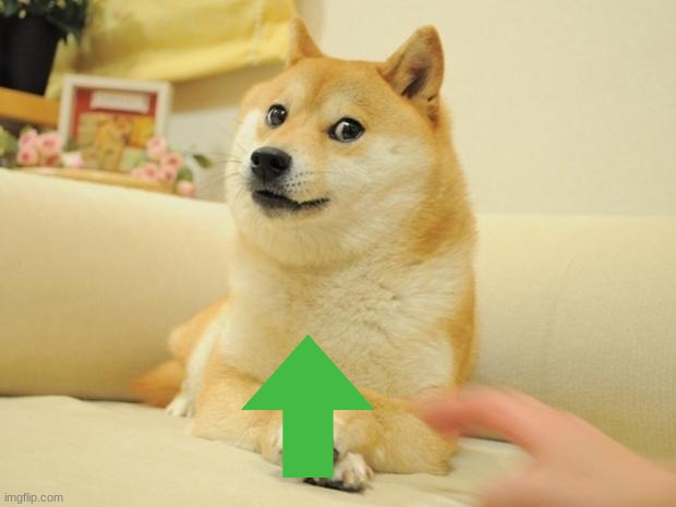 Doge 2 Meme | image tagged in memes,doge 2 | made w/ Imgflip meme maker