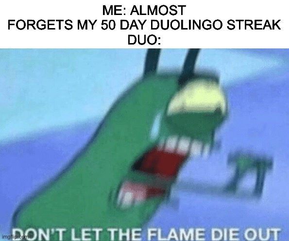 Ok, just please don’t kill my family | ME: ALMOST FORGETS MY 50 DAY DUOLINGO STREAK
DUO: | image tagged in don t let the flame die out | made w/ Imgflip meme maker