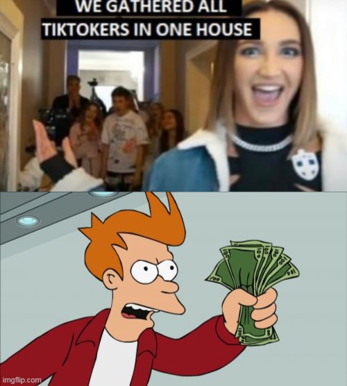 we gathered all tiktokers in one house ok fine | image tagged in we gathered all tiktokers in one house,memes,shut up and take my money fry | made w/ Imgflip meme maker