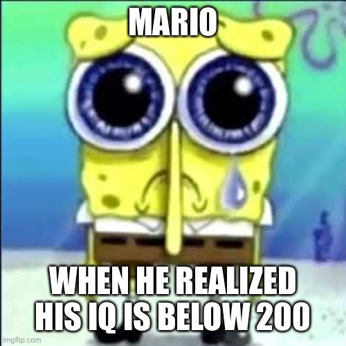 :troll: | MARIO; WHEN HE REALIZED HIS IQ IS BELOW 200 | image tagged in sad spongebob | made w/ Imgflip meme maker