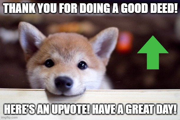 Random stuff | THANK YOU FOR DOING A GOOD DEED! HERE'S AN UPVOTE! HAVE A GREAT DAY! | image tagged in cute dog | made w/ Imgflip meme maker
