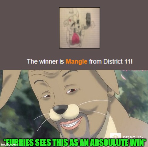 *FURRIES SEES THIS AS AN ABSOULUTE WIN* | image tagged in weird anime hentai furry | made w/ Imgflip meme maker