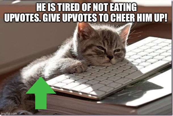 he is very sick :( |  HE IS TIRED OF NOT EATING UPVOTES. GIVE UPVOTES TO CHEER HIM UP! | image tagged in bored keyboard cat | made w/ Imgflip meme maker