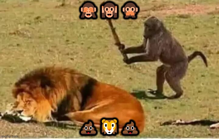 Monkey lion | 🙈🙉🙊; 💩🦁💩 | image tagged in monkey lion | made w/ Imgflip meme maker
