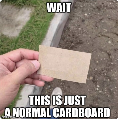 I guess the card isn't written yet. | WAIT; THIS IS JUST A NORMAL CARDBOARD | image tagged in squid game | made w/ Imgflip meme maker