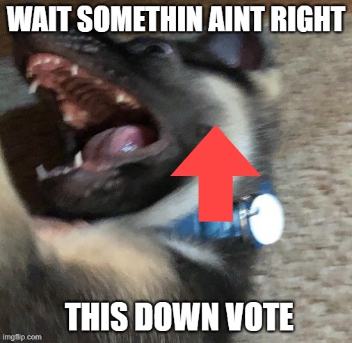 angy doggo | WAIT SOMETHIN AINT RIGHT; THIS DOWN VOTE | image tagged in angy doggo | made w/ Imgflip meme maker