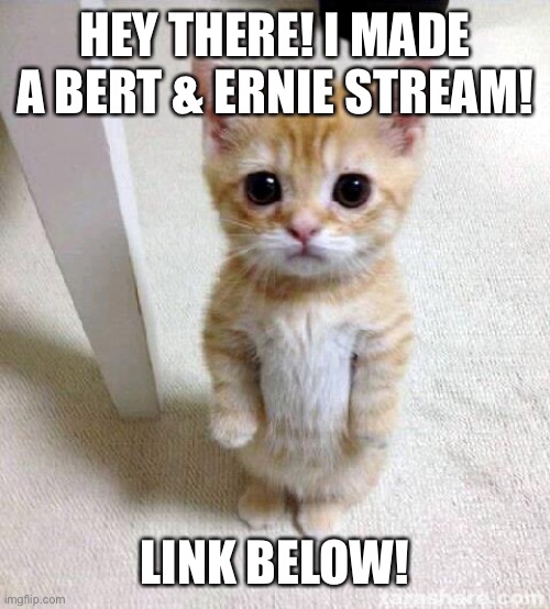 Bert and Ernie stream! | HEY THERE! I MADE A BERT & ERNIE STREAM! LINK BELOW! | image tagged in memes,cute cat | made w/ Imgflip meme maker