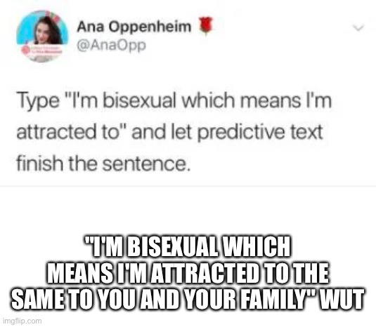 Erm | "I'M BISEXUAL WHICH MEANS I'M ATTRACTED TO THE SAME TO YOU AND YOUR FAMILY" WUT | made w/ Imgflip meme maker