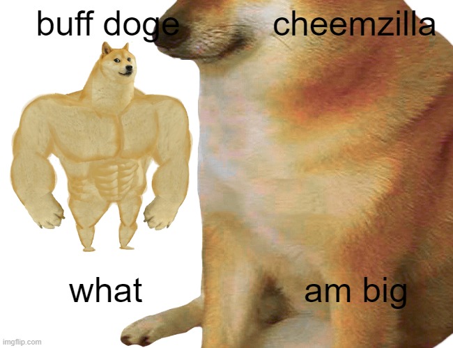 buff doge; cheemzilla; what; am big | made w/ Imgflip meme maker