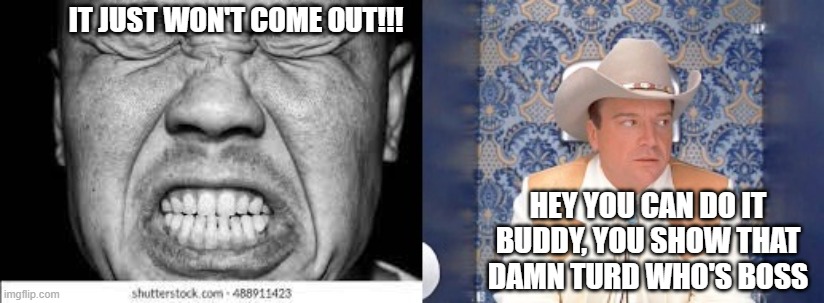 Constipation sucks | IT JUST WON'T COME OUT!!! HEY YOU CAN DO IT BUDDY, YOU SHOW THAT DAMN TURD WHO'S BOSS | image tagged in tom arnold,constipation,poop,man on toilet | made w/ Imgflip meme maker