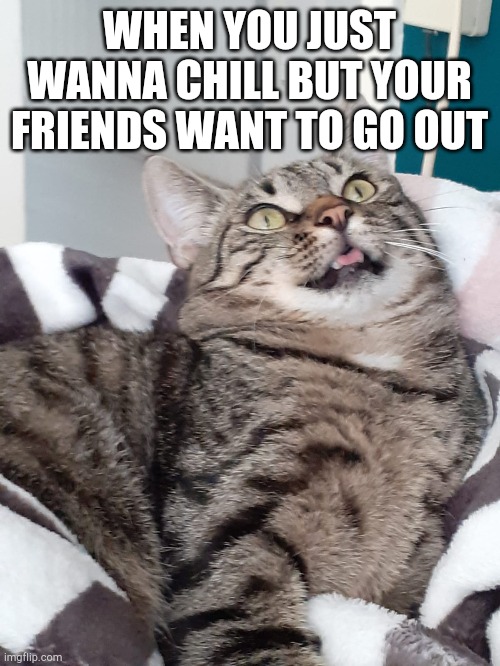 WHEN YOU JUST WANNA CHILL BUT YOUR FRIENDS WANT TO GO OUT | image tagged in covid-19 | made w/ Imgflip meme maker
