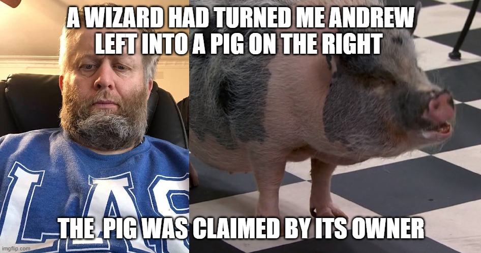 Andrew | A WIZARD HAD TURNED ME ANDREW LEFT INTO A PIG ON THE RIGHT; THE  PIG WAS CLAIMED BY ITS OWNER | image tagged in andrew,furry | made w/ Imgflip meme maker