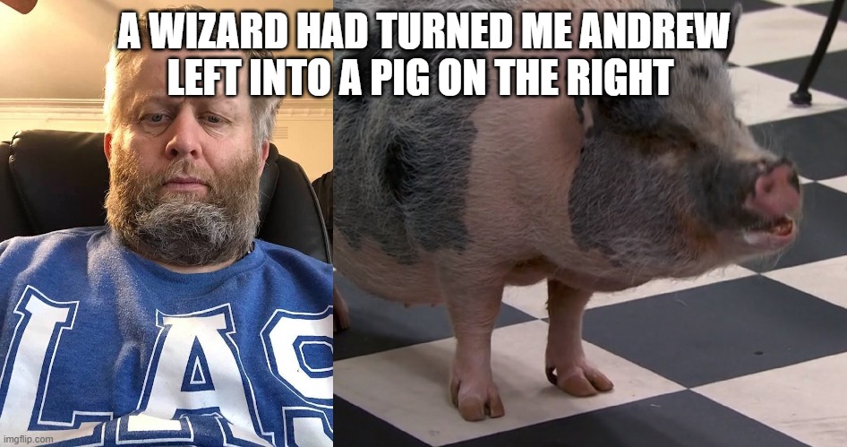 Andrew Taylor | A WIZARD HAD TURNED ME ANDREW LEFT INTO A PIG ON THE RIGHT | image tagged in andrew | made w/ Imgflip meme maker