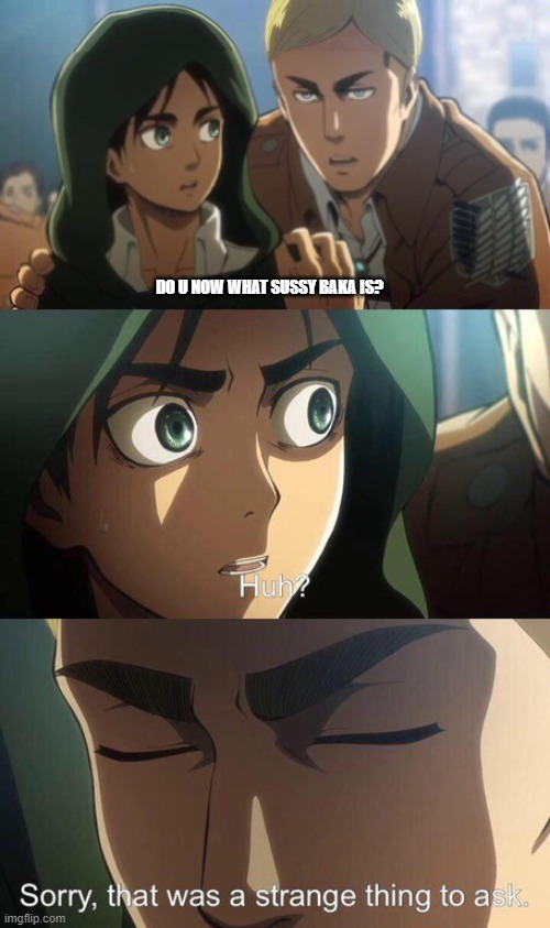 Strange question attack on titan | DO U NOW WHAT SUSSY BAKA IS? | image tagged in strange question attack on titan | made w/ Imgflip meme maker