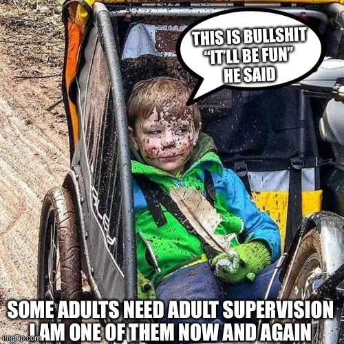 It’ll be fun | THIS IS BULLSHIT
“IT’LL BE FUN” 
HE SAID; SOME ADULTS NEED ADULT SUPERVISION
I AM ONE OF THEM NOW AND AGAIN | image tagged in bullshit | made w/ Imgflip meme maker