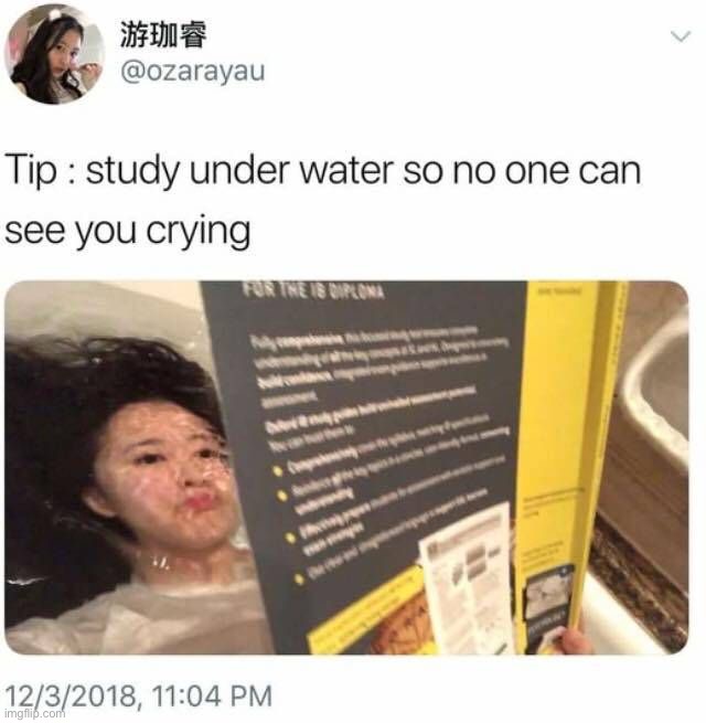 That’s one way to do it…I guess | image tagged in memes,funny,dead,underwater,drown,lmao | made w/ Imgflip meme maker