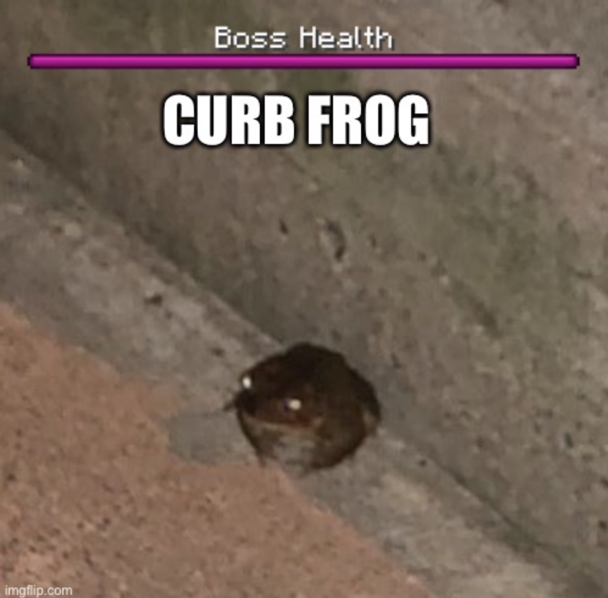 High Quality Curb Frog Blank Meme Template