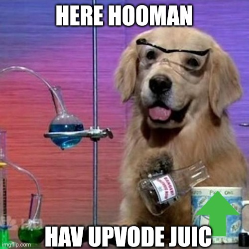 I Have No Idea What I Am Doing Dog |  HERE HOOMAN; HAV UPVODE JUIC | image tagged in memes,i have no idea what i am doing dog | made w/ Imgflip meme maker