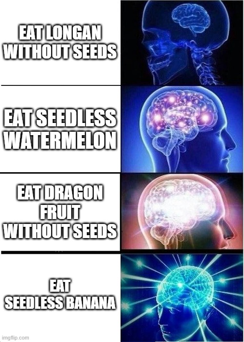 I'm from Vietnam, so if there's a word that's wrong, please forgive me | EAT LONGAN WITHOUT SEEDS; EAT SEEDLESS WATERMELON; EAT DRAGON FRUIT WITHOUT SEEDS; EAT SEEDLESS BANANA | image tagged in memes,expanding brain | made w/ Imgflip meme maker