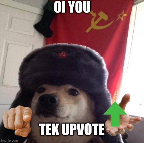 Russian Doge |  OI YOU; TEK UPVOTE | image tagged in russian doge | made w/ Imgflip meme maker