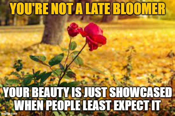 Late Bloomer | YOU'RE NOT A LATE BLOOMER; YOUR BEAUTY IS JUST SHOWCASED WHEN PEOPLE LEAST EXPECT IT | image tagged in unexpected beauty | made w/ Imgflip meme maker