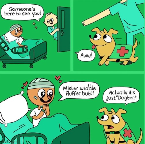 image tagged in comics | made w/ Imgflip meme maker