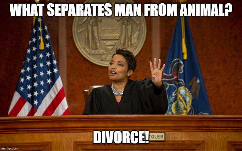 The Divide | WHAT SEPARATES MAN FROM ANIMAL? DIVORCE! | image tagged in divorce court | made w/ Imgflip meme maker