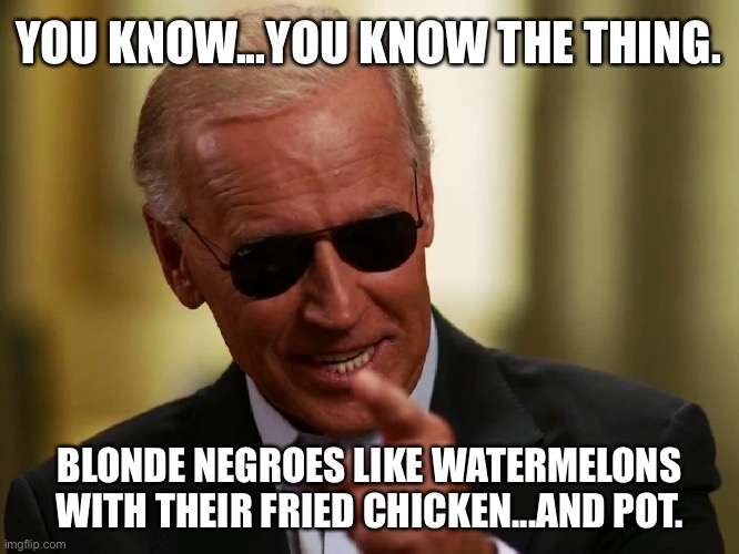 Cool Joe Biden | YOU KNOW...YOU KNOW THE THING. BLONDE NEGROES LIKE WATERMELONS WITH THEIR FRIED CHICKEN...AND POT. | image tagged in cool joe biden | made w/ Imgflip meme maker