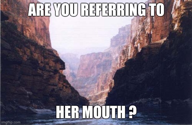 ARE YOU REFERRING TO HER MOUTH ? | made w/ Imgflip meme maker