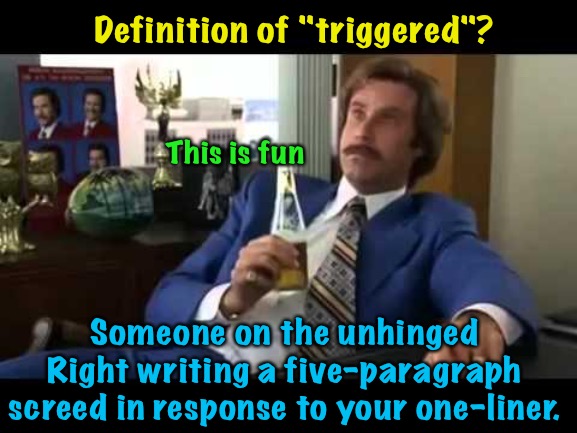 Well That Escalated Quickly Meme |  Definition of "triggered"? This is fun; Someone on the unhinged Right writing a five-paragraph screed in response to your one-liner. | image tagged in memes,well that escalated quickly | made w/ Imgflip meme maker