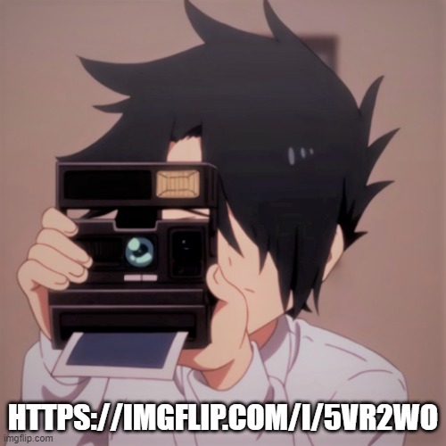 jellywhal and puffy being caught in 1080p 8k | HTTPS://IMGFLIP.COM/I/5VR2WO | image tagged in caught in 4k | made w/ Imgflip meme maker