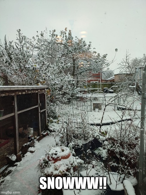 SNOWWW!! | made w/ Imgflip meme maker