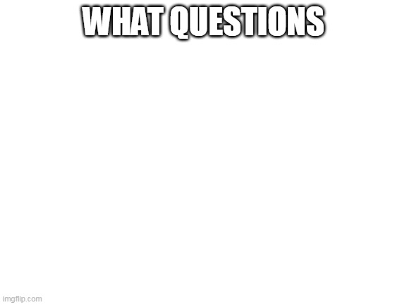 WHAT QUESTIONS | image tagged in blank white template | made w/ Imgflip meme maker