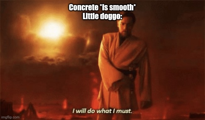 I will do what i must | Concrete *is smooth*
Little doggo: | image tagged in i will do what i must | made w/ Imgflip meme maker