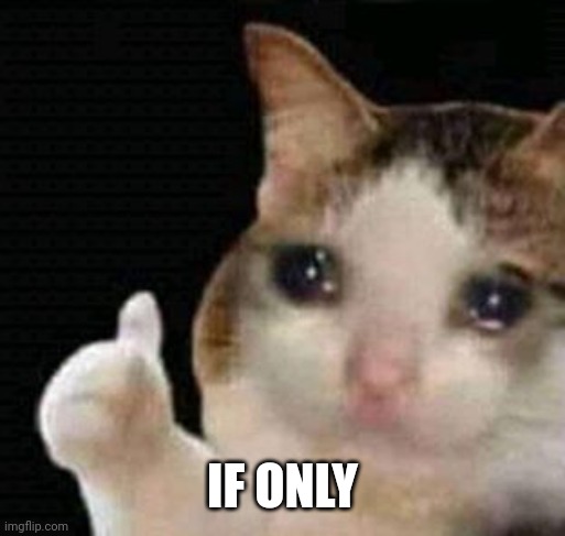 sad thumbs up cat | IF ONLY | image tagged in sad thumbs up cat | made w/ Imgflip meme maker
