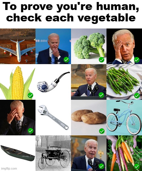 To prove you're human,
check each vegetable | image tagged in memes,joe biden,senile creep,vegetable,check,human | made w/ Imgflip meme maker