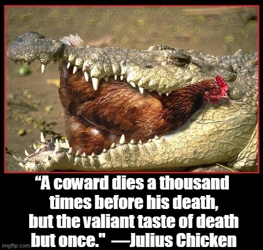 Brave Chickens throughout History | image tagged in vince vance,alligator,brave,chicken,memes,julius caesar | made w/ Imgflip meme maker