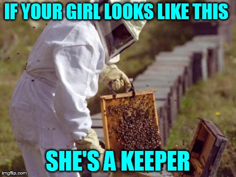 IF YOUR GIRL LOOKS LIKE THIS  SHE'S A KEEPER | image tagged in she's a keeper,funny,bees | made w/ Imgflip meme maker