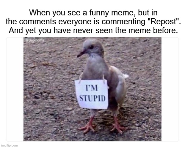I'm Stupid | When you see a funny meme, but in the comments everyone is commenting "Repost". And yet you have never seen the meme before. | image tagged in i'm stupid | made w/ Imgflip meme maker