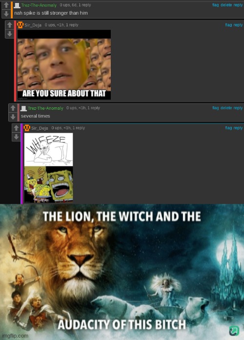 image tagged in the lion the witch and the audacity of this bitch | made w/ Imgflip meme maker
