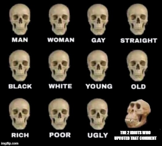 idiot skull | THE 2 IDIOTS WHO UPVOTED THAT COMMENT | image tagged in idiot skull | made w/ Imgflip meme maker