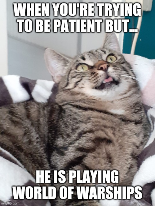 Its ranken! | WHEN YOU'RE TRYING TO BE PATIENT BUT... HE IS PLAYING WORLD OF WARSHIPS | image tagged in annoyed attila | made w/ Imgflip meme maker